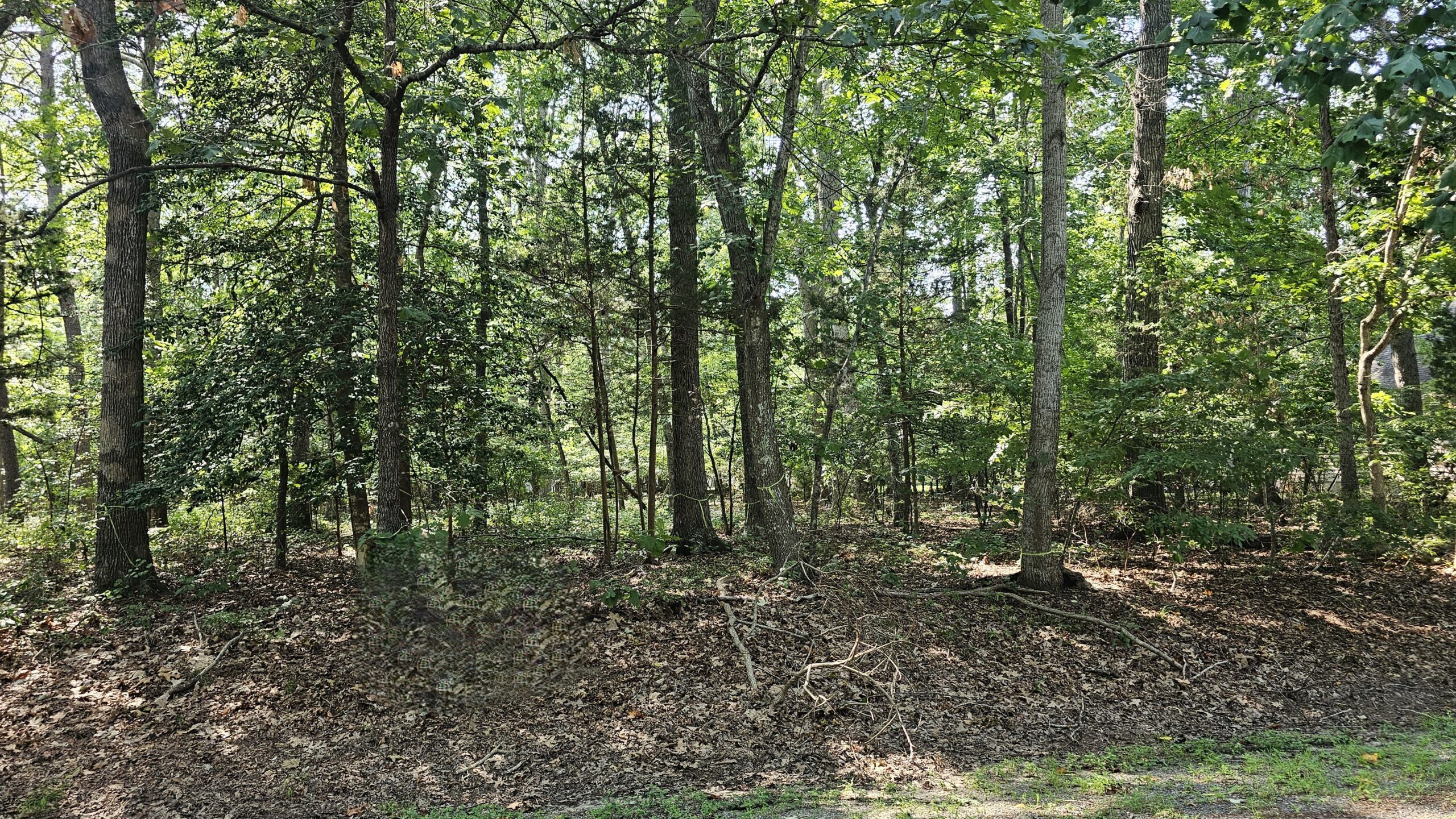 2427 brig lot